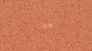 Линолеум Mipolam Affinity 4435 Butternut фото 1 | FLOORDEALER